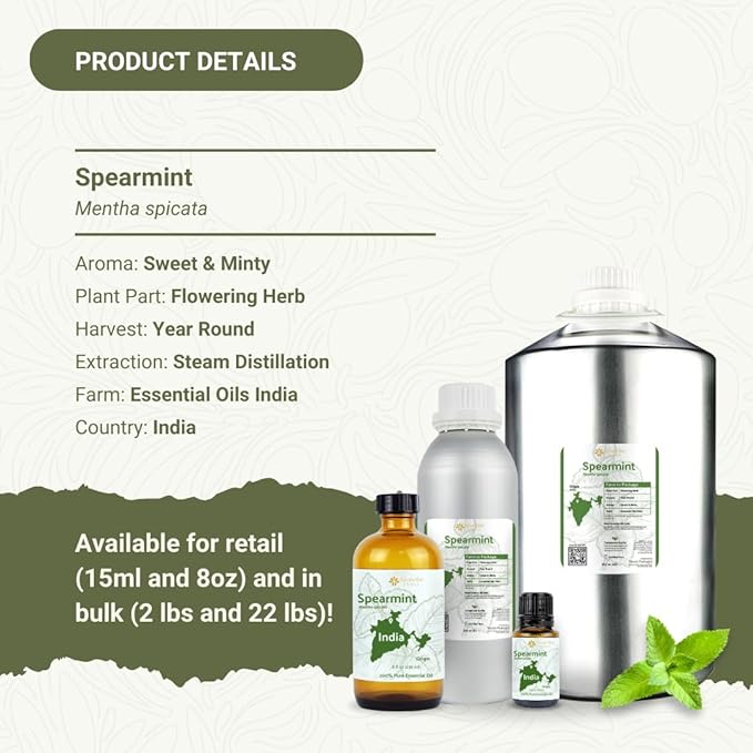 Spearmint Essential Oil - Direct from Essential Oils India - Steam Distilled - Aceite Esencial de Menta Verde for Aromatherapy Massage Diffuser DIY Candle and Soap Making - 8oz