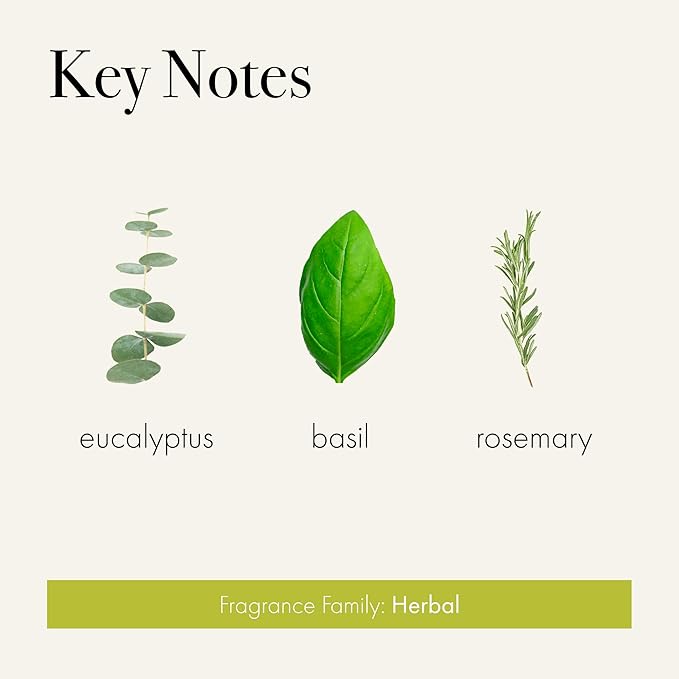 LAFCO New York Signature Reed Diffuser Rosemary Eucalyptus - 15 oz - Up to 9 Months Fragrance Life - Reusable Hand Blown Glass Vessel - Natural Wood Reeds - Made in The USA
