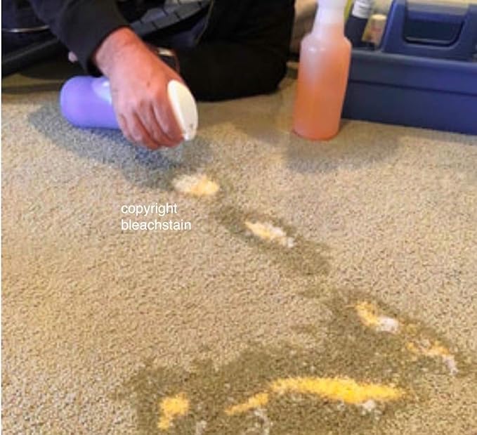BLEACHSTAIN® Homeowner’s Carpet Spot Dye Kit™ | Restores Carpet Color | Repair Discoloration from Bleach Stains Acne medications or Chemical Marks and Spots