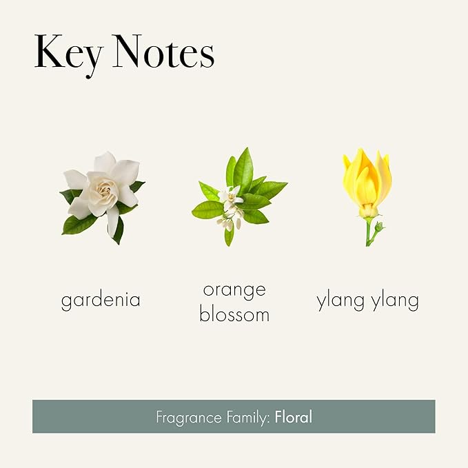 LAFCO New York Signature Reed Diffuser Fresh Cut Gardenia - 15 oz - Up to 9 Months Fragrance Life - Reusable Hand Blown Glass Vessel - Natural Wood Reeds - Made in The USA