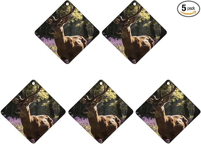 5PCS Car Air Freshener Hanging Personalized Double Sided Stag Flowers Car Fresheners Long Lasting New Cars Scents Cute Automotive Freshies for Closets Drawers (tea)