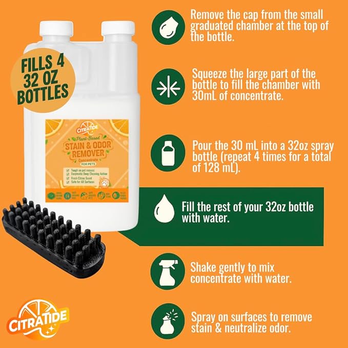 Stain &amp Odor Remover Concentrate (16 fl oz) – Citrus Powered Enzymatic Cleaner – Plant-Based Pet Safe Formula for Carpets Upholstery Hard Floors &amp More – USA Made Eco-Friendly Non-Toxic