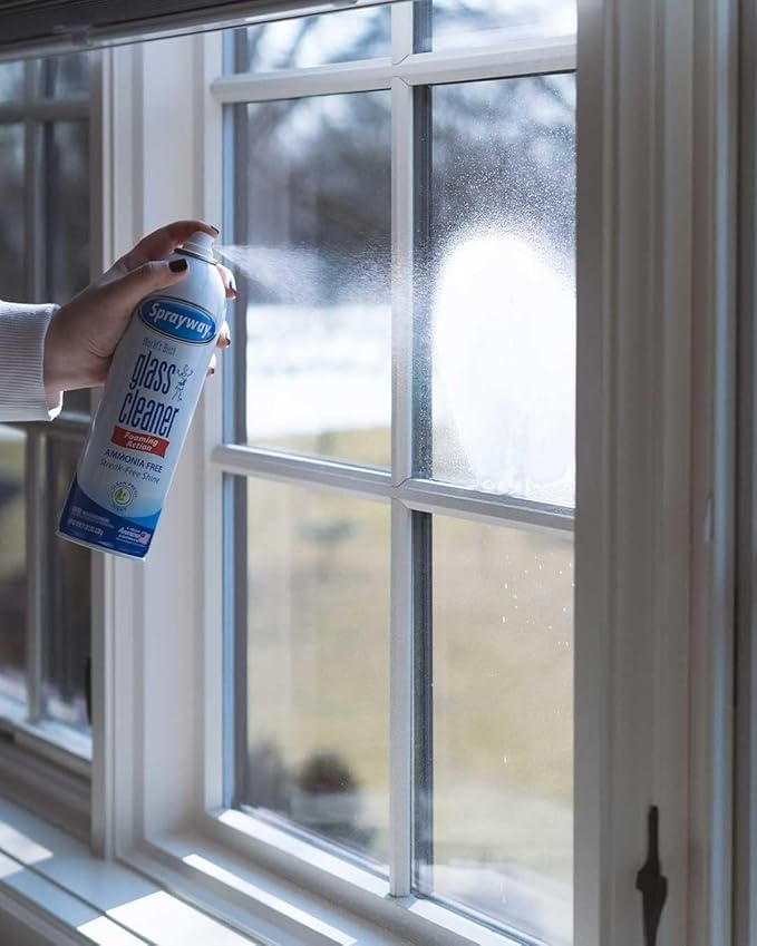 Sprayway Glass Cleaner with Foaming Spray for a Streak-Free Shine for Home and Automotive Use 19 oz. Pack of 6