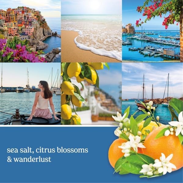 Yankee Candle ScentPlug Refill Mediterranean Breeze Home Fragrance Plugin Oil with Salt Air and Soft Citrus Notes Odor Neutralizing Wall Air Freshener 0.625 Ounce (Pack of 6)