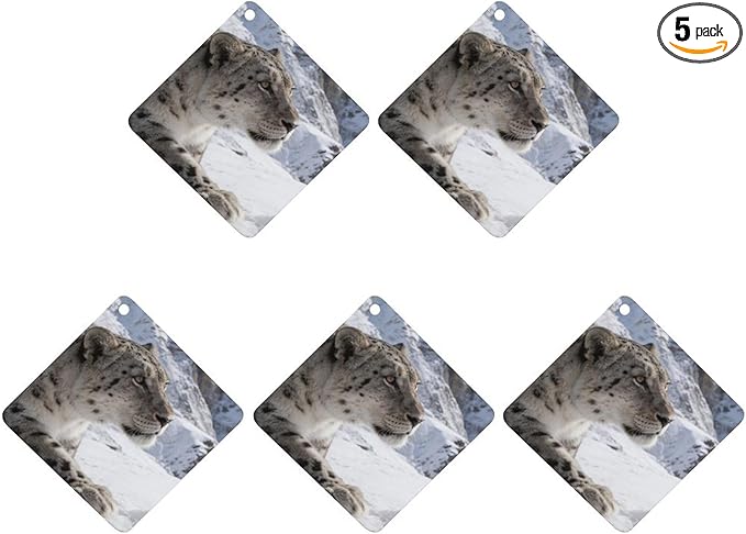 5PCS Car Air Freshener Hanging Personalized Double Sided Snow Mountains Car Fresheners Long Lasting New Cars Scents Cute Automotive Freshies for Closets Drawers (tea)
