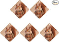 5PCS Car Air Freshener Hanging Personalized Double Sided Squirrel Small Backpack Car Fresheners Long Lasting New Cars Scents Cute Automotive Freshies for Closets Drawers (tea)