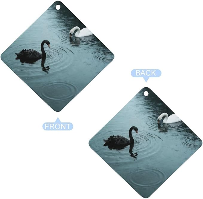 5PCS Car Air Freshener Hanging Personalized Double Sided Swans in Rain Car Fresheners Long Lasting New Cars Scents Cute Automotive Freshies for Closets Drawers (tea)