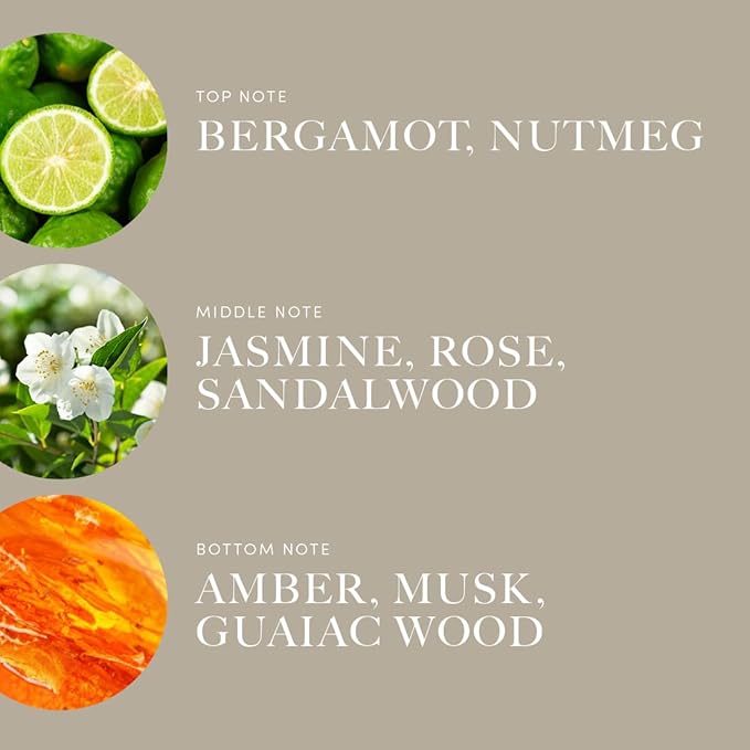 Aroma360 | Disney Reflection Fragrance Oil Blend | Disney Princess Mulan | Luxury Essential Diffuser Oil | Aromatherapy Scent Diffuser Oil | Bergamot Nutmeg and Jasmine 1.7 fl oz 50mL