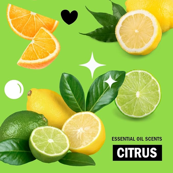 Molly's Suds Sink and All Purpose SCRUB | Gently Removes Stains Scrubs Away Grease &amp Gime Buffs out Scratches | Plant and Mineral Based | 2 Pack Citrus Scent