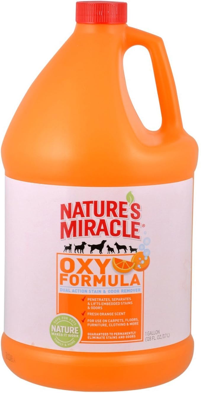 Nature’s Miracle Dog Stain And Odor Remover Oxy Formula With Fresh Orange Scent 1 Gallon