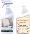 Couch Cleaner and Stain Remover Spray – Professional Strength Multi-Surface Fabric and Upholstery Cleaner – Pet-Safe Non-Toxic Quick-Drying for Couches Sofas &amp Car Interiors (COMBO)