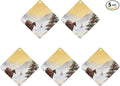 5PCS Car Air Freshener Hanging Personalized Double Sided Snowy Xmas Horse Car Fresheners Long Lasting New Cars Scents Cute Automotive Freshies for Closets Drawers (tea)