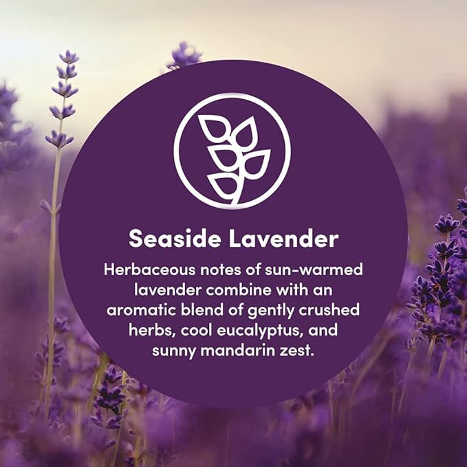 Clean Revolution Multi Surface Cleaner Refill Supply Non-Toxic Eco-Friendly &amp Plant-Based Ready to Use Seaside Lavender 128 Fl Oz (Pack of 4)