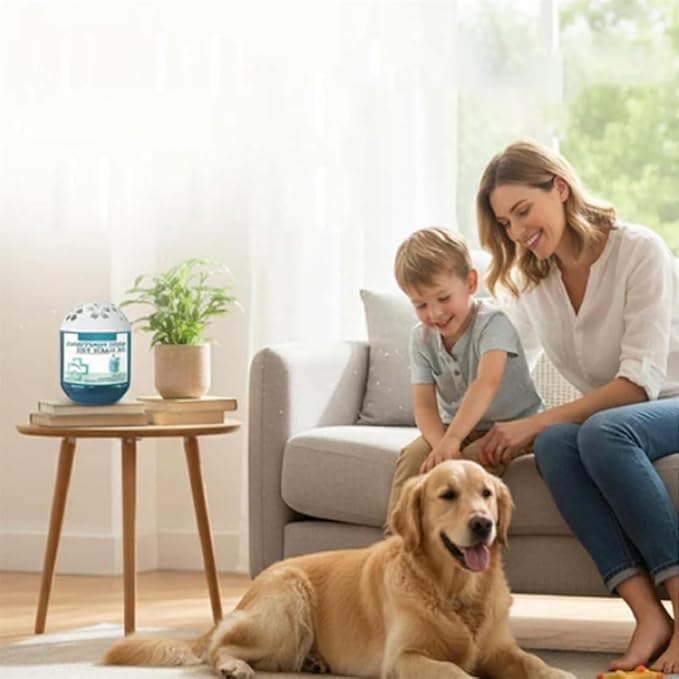 Indoor Air Purification Dust Removal Magic Box 120g Household-Multifunctional Air Magic Box Cleaner Fragrance Long-Lasting Airs Freshener Egg Air Purifier for Any Room (3Pcs)