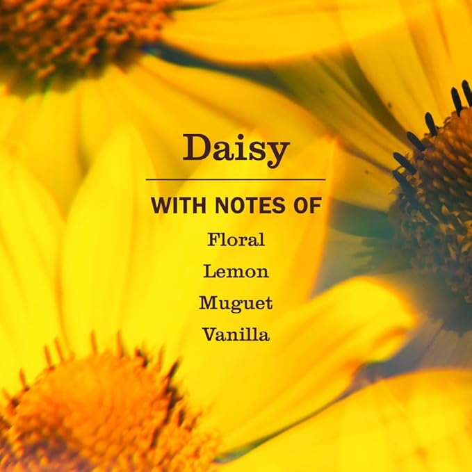 Mrs. MEYER'S CLEAN DAY Kitchen Basics Set Daisy Scent Cleaning Supplies includes Hand Soap (12.5 Fl Oz) Dish Soap (16 Fl Oz) and Multi-Surface Cleaner (16 Fl Oz)