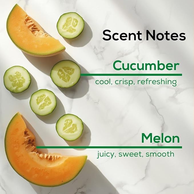 Scent Fill Cucumber Melon Plug in Air Freshener Scented Oil Refills 4 Refills