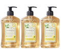 A LA MAISON Provence Lemon Liquid Hand Soap 16.9 Fl Oz - Natural Hand Wash Made with Essential Oils - Biodegradable Plant-Based Vegan Cruelty-Free Alcohol &amp Paraben Free (3 Pack)