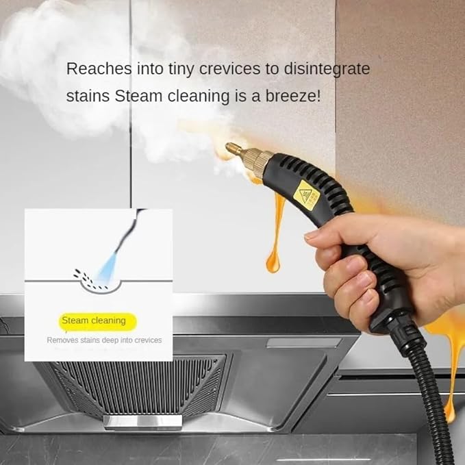 2500W Handheld High Temperature and Pressure Steam Cleaners 900 ml capacity 3 Bar with Brush Heads For Air Conditioning Kitchen Hood Steam Cleaning Machine