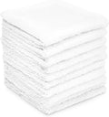 Dupray Washable Microfiber Cloths Accessories Pack of 10