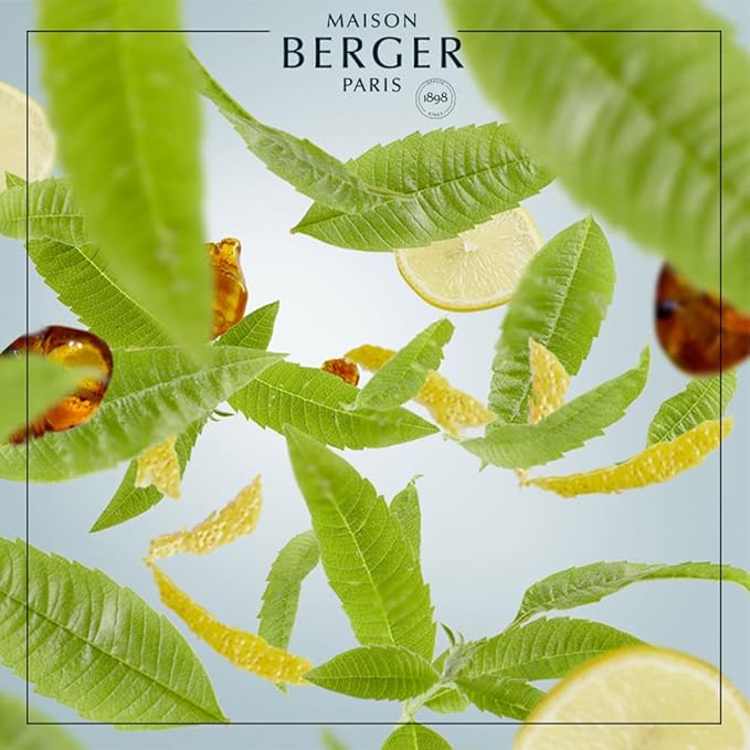 Berger Perfume Reed Room Diffuser in a Clear Cube Verbena Peel ZESTE DE VERVEINE Transparent Transparent