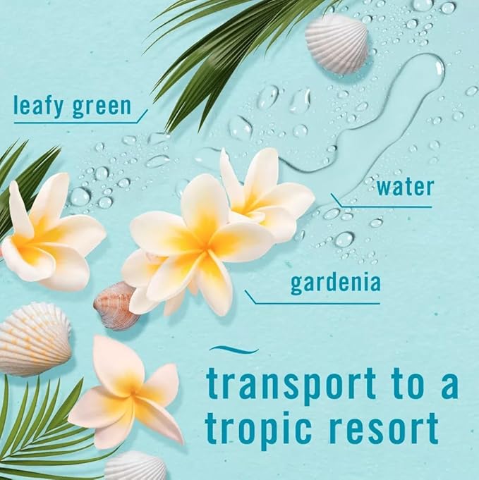 Feb-reze Plug In Air Freshener Odor-Fighting Scented Oil Refill Bora Bora Waters - 3 Refills