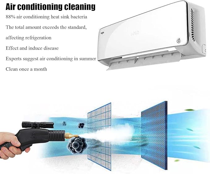 High Pressure Handheld SteamHandheld High Temperature Portable CleanerHigh Temperature Portable SteamerFor Cleaning110V-1700W