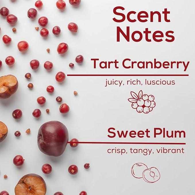 Scent Fill Cranberry Plum Plug in Air Freshener 4 Scented Oil Refills