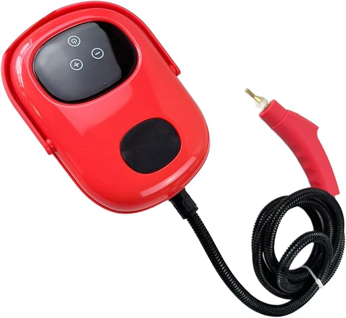 AYNEFY Steam Cleaner Disinfection Machine Small Machine High Pressure High Temperature for Kitchen Oil Air Conditioner Handheld Steamers (US Plug 110V)