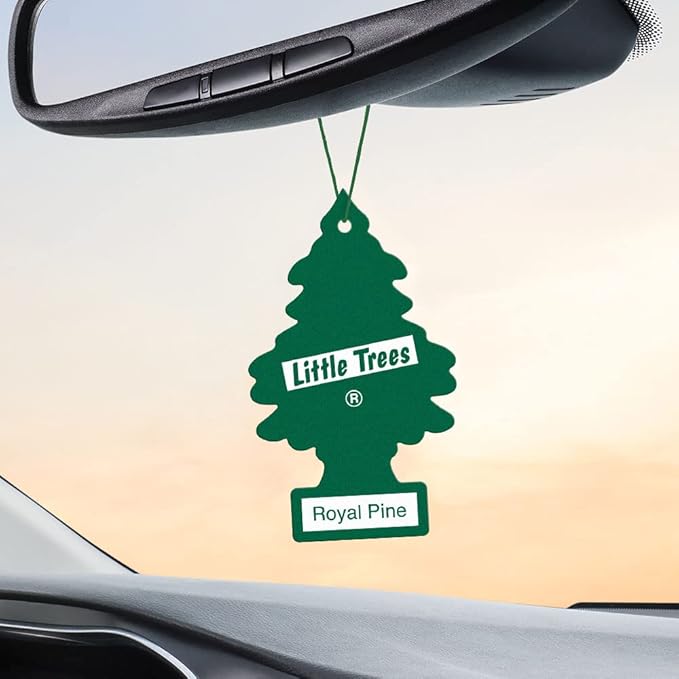 LITTLE TREES Air Fresheners Car Air Freshener. Hanging Tree Provides Long Lasting Scent for Auto or Home. Royal Pine 24 Air Fresheners (Pack of 6)