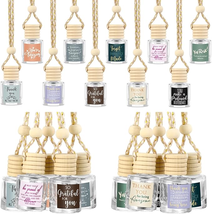 30 Pcs Employee Appreciation Gifts Bulk Empty Glass Car Air Freshener Hanging Diffuser Thank You Gifts for Employee Nurse Staff Dietician Social Worker Volunteer
