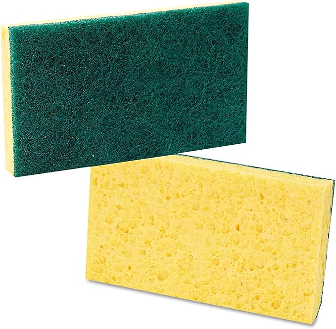 Boardwalk Scrubbing Sponge