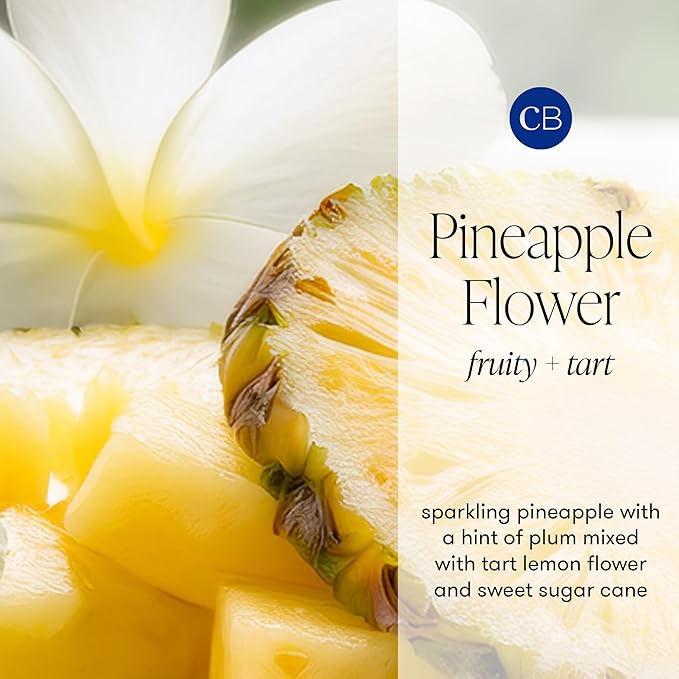 Capri Blue Pineapple Flower Reed Diffuser Set - Includes Reed Diffuser Sticks Fragrance Oil and Glass Bottle - Luxury Scented Room Fresheners - Cobalt Blue (8 fl oz)