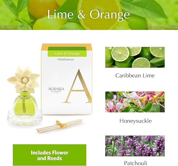 AGRARIA PetiteEssence Flower and Reed Diffuser Set Hand Crafted Sola Flower Botanical Home Fragrance Set Scented Oil Gift for All Occasions
