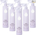 Safely Glass Cleaner– Calm Pack of 6 –Plant-Powered Window Cleaner Spray with Coconut Oil Mineral Salt Corn Alcohol– Wipes Away Dirt  Residue – Leaves Glass Shiny  Fingerprint-Free– 20 Fl Oz Each