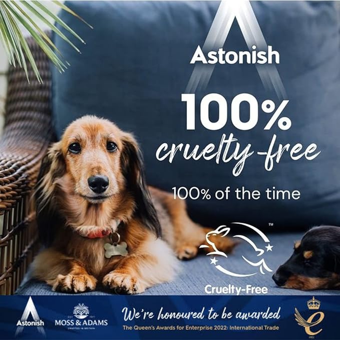Astonish All In 1 Dishwasher Tabs 42ct + Oven &amp Cookware Cleaning Paste150g
