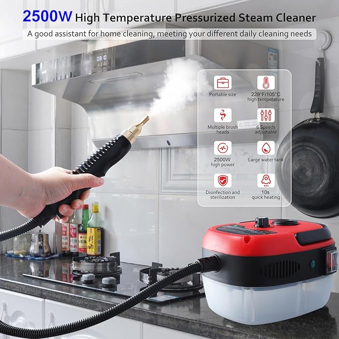 2500W Handheld Steam Cleaner Portable High Temp Steamer Cleaning Machine with 3 Brush Heads Steamer for Cleaning Grout Tile Car Living (White 220v)