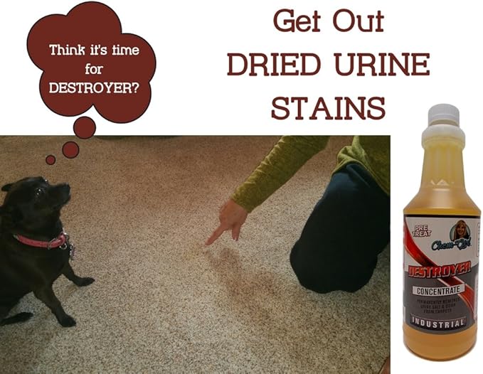 DESTROYER - Best Permanent Urine Stain and Odor Remover. No More Re-Marking. Dissolve and Neutralize the Urine Salts. Spot and Stain Gone for Good.