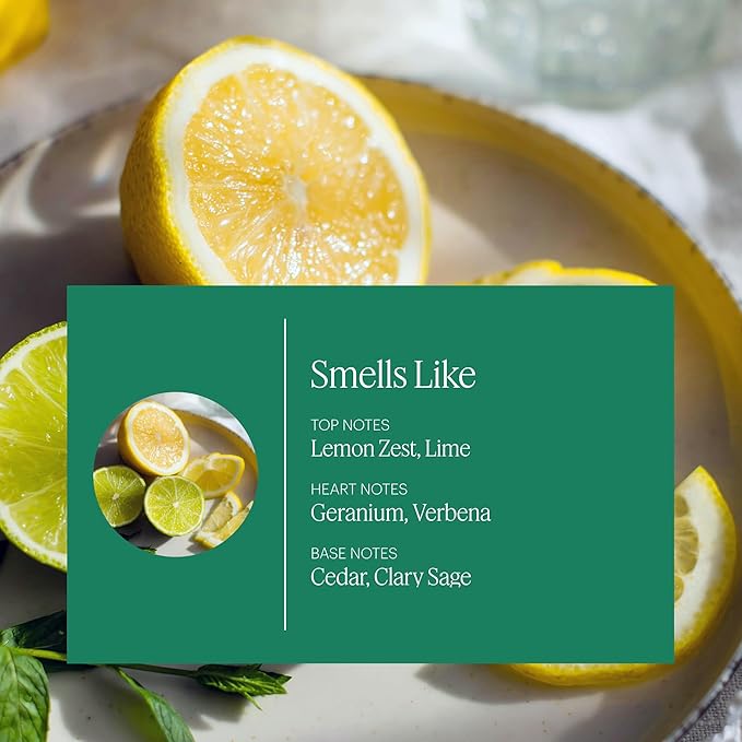 Aera Mini Home Hygiene Citrus and Sage - Essential Oil for Home - Fresh Zest Fragrance - Notes of Lemon Lime and Geranium - Scent Refill - Capsule Size Works with Mini Diffuser