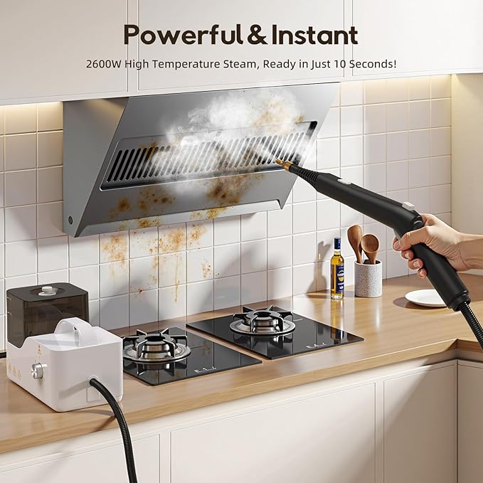 Lubluelu High-Pressure Steam Cleaner for Home Car Detailing &amp Kitchen 2600W Handheld Steamer with 10s Heat-Up for Bathroom Floors &amp Upholstery