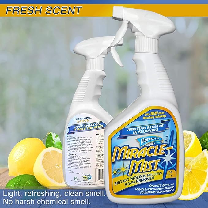 Instant Cleaner for Indoor and Outdoor Use 32 oz | 2 Pack (64 OZ Spray)
