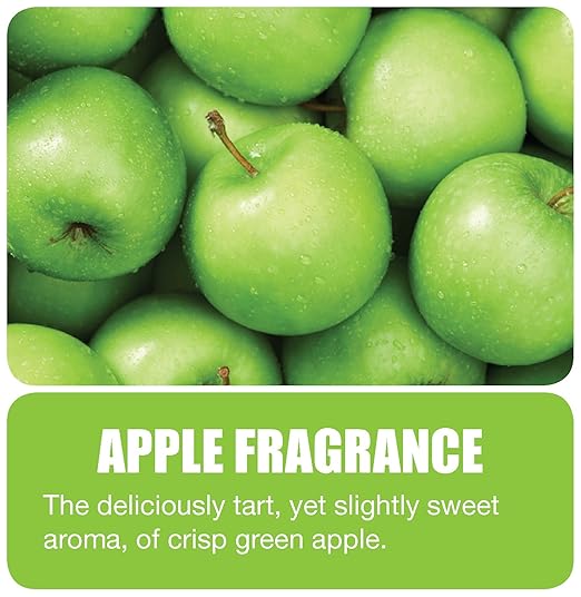 Big D 867 Metered Aerosol Starter Kit Apple Fragrance (Contains Dispenser 2 Batteries 3 Aerosol Cans) - Air freshener ideal for restrooms offices schools restaurants hotels stores