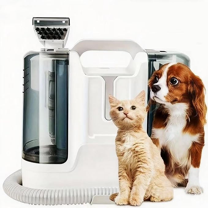 Portable Carpet Upholstery &amp Area Rug Cleaner12Kpa Power Suction with Versatile Tools for Pets Area Rugs