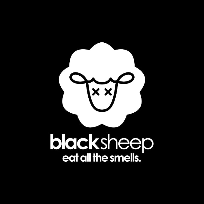 Black Sheep - Bamboo Charcoal Natural Air Purifying Bag - Eliminates Odors in Homes Cars Bags Shoes Closets &amp More - 200g (4)