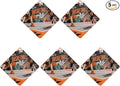 5PCS Car Air Freshener Hanging Personalized Double Sided Streetball Duel Car Fresheners Long Lasting New Cars Scents Cute Automotive Freshies for Closets Drawers (tea)
