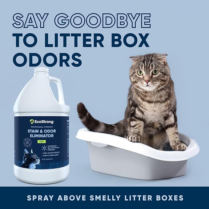 Eco Strong Cat Stain And Odor Remover| Enzyme Urine Odor Neutralizer - Stain Remover for Carpet Litter Boxes Bedding and Laundry [Citrus Scent Gallon Value Size]