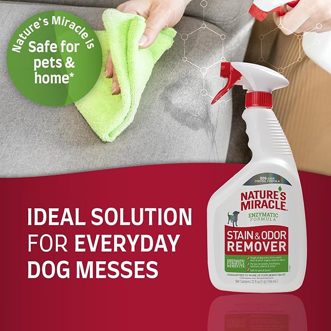 Nature's Miracle Dog Stain and Odor Remover Everyday Mess Enzymatic Formula 32 fl oz (Pack of 2)