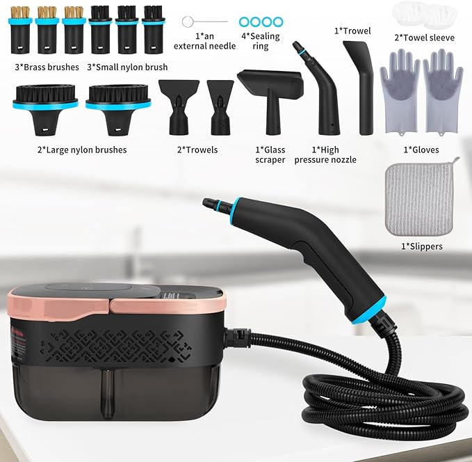 2500W Portable Steamer for Cleaning Handheld Steam Cleaner for Home 6 Steam Levels 10s Heat-Up High Heat Steamer for Car Detailing Furniture Couch Bed Bugs House Windows (Black)