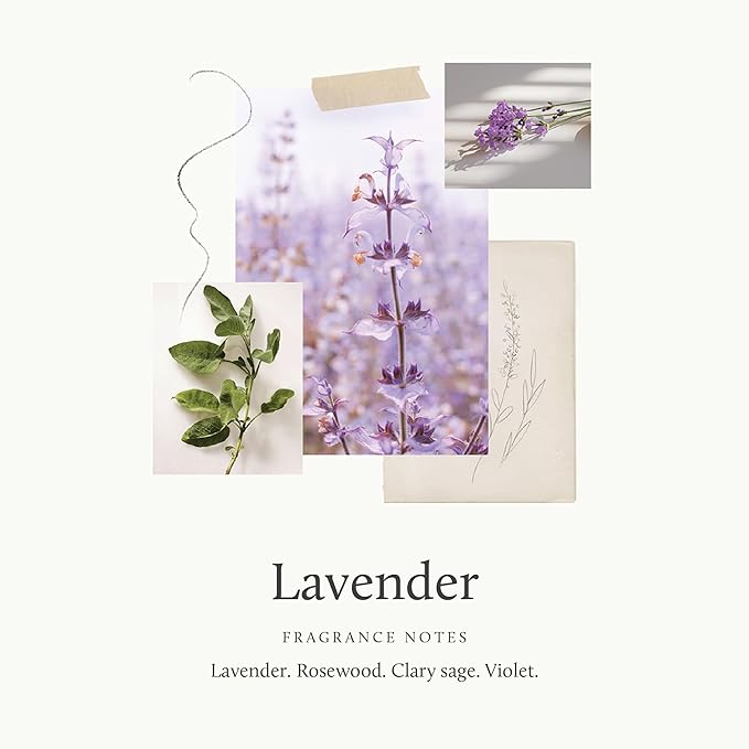 Thymes Home Fragrance Mist – Room Air Fresheners for Home Long Lasting – Air Freshener Spray – Scented Room Spray with Notes of Velvety Lavender Rosewood Clary Sage &amp Earthy Violet (Lavender 3