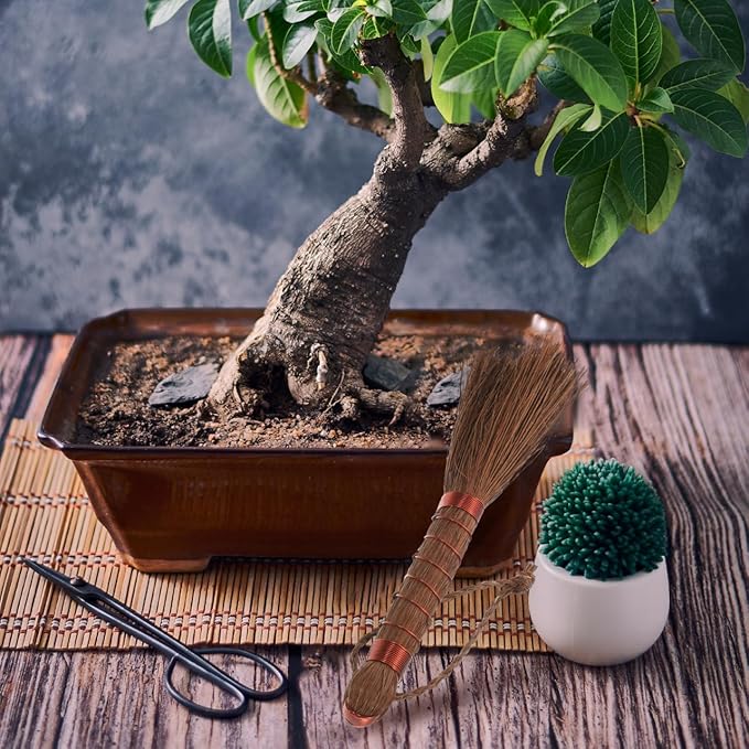 Bonsai Brush Handheld Gardening Brush Palm Fiber Cleaning for Planter Washing Indoor Outdoor Garden Care 5.31X1.18 Inch