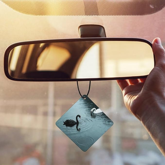 5PCS Car Air Freshener Hanging Personalized Double Sided Swans in Rain Car Fresheners Long Lasting New Cars Scents Cute Automotive Freshies for Closets Drawers (tea)